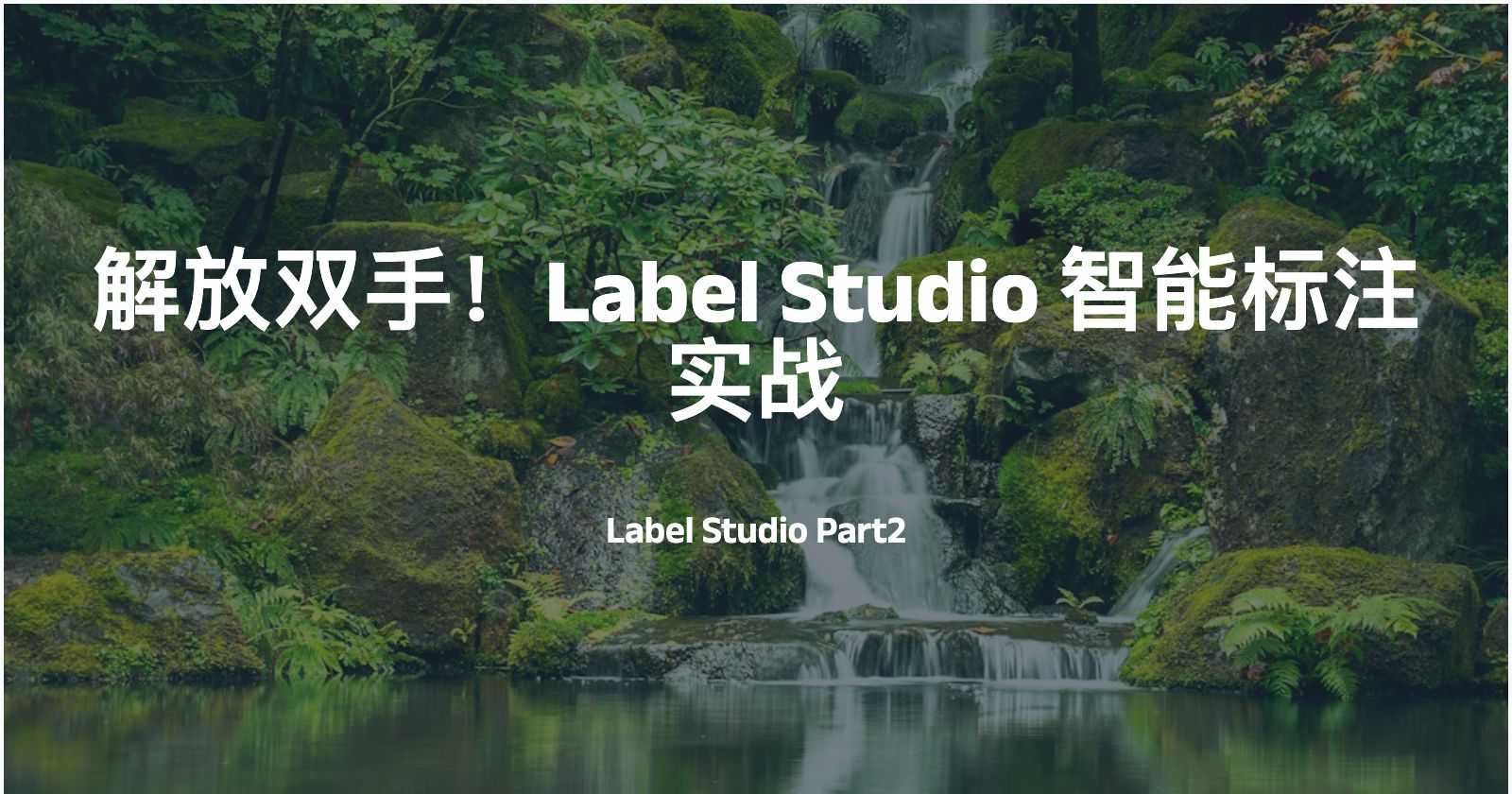 labelstudio-pre-annoation.jpg